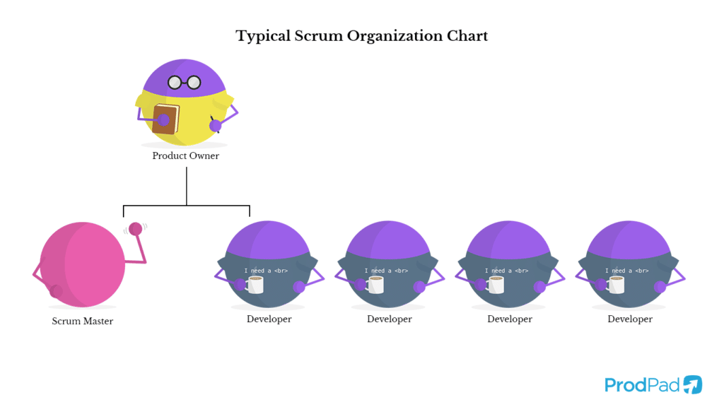 Scrum team hierarchy